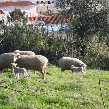 Bed & Breakfast Porto Monte Maceira (Lisbon)