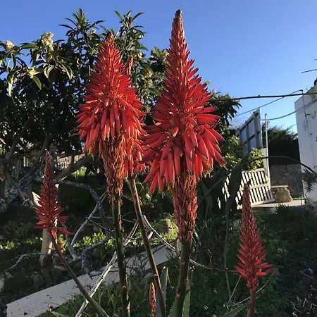 Porto Monte Alojamento de Acomodação e Pequeno-almoço 3*