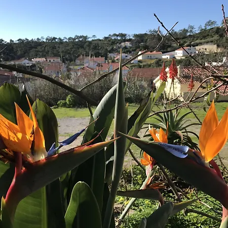 Porto Monte Alojamento de Acomodação e Pequeno-almoço 3*