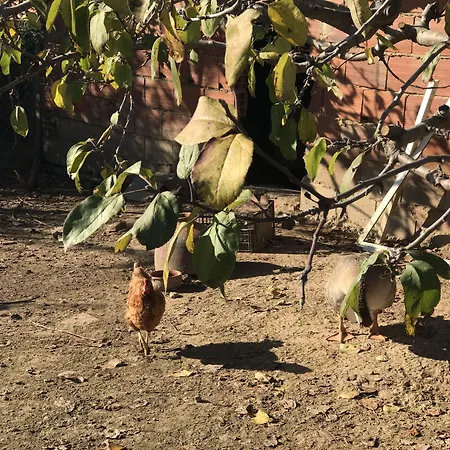 Porto Monte Alojamento de Acomodação e Pequeno-almoço 3*