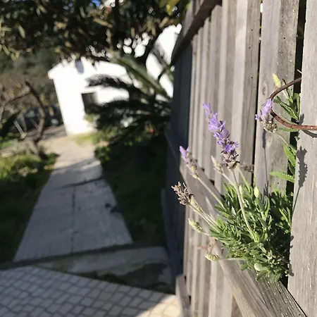 Porto Monte מסיירה
