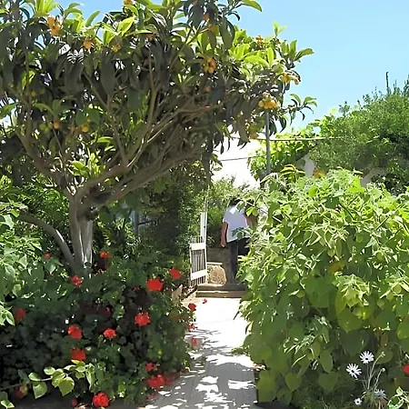 Porto Monte