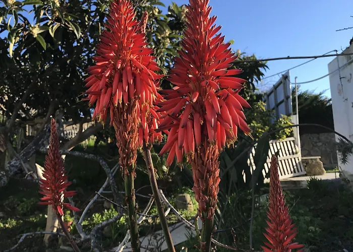 Porto Monte ベッド・アンド・ブレックファスト 3*